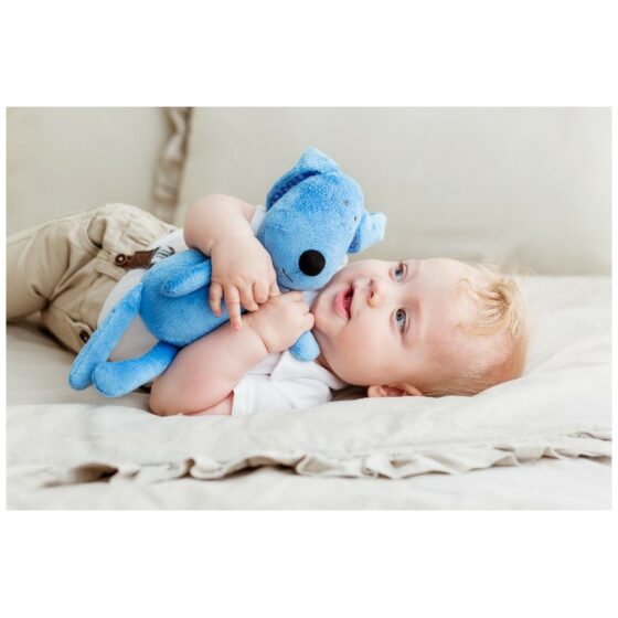 Παιχνίδι αγκαλιάς Bali Bazoo 81993 Dog Blue 28cm - Image 2